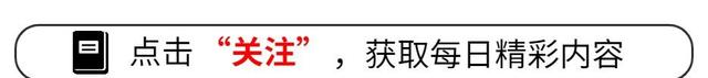 2023黑客大赛，安卓惨遭群攻苹果鸿蒙无人入侵，原因到底是为何？