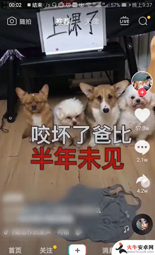 抖音的铃音怎么调