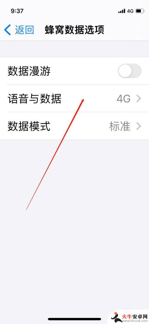 苹果手机5g网怎么打开