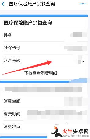 手机如何查看个人医保余额