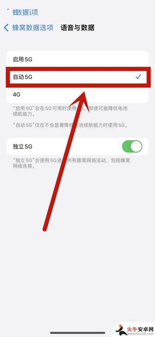 苹果手机怎么不显示5g