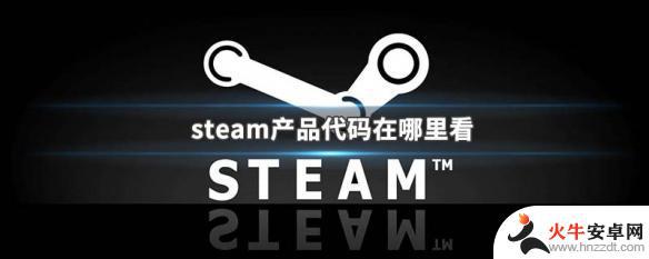 看steam游戏如何看游戏id