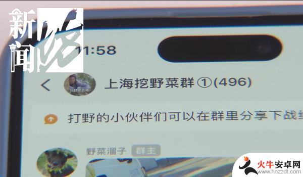 上海人热衷于“打野”游戏？有人花费心血整理攻略，专家提醒存在风险