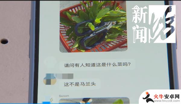 上海人热衷于“打野”游戏？有人花费心血整理攻略，专家提醒存在风险