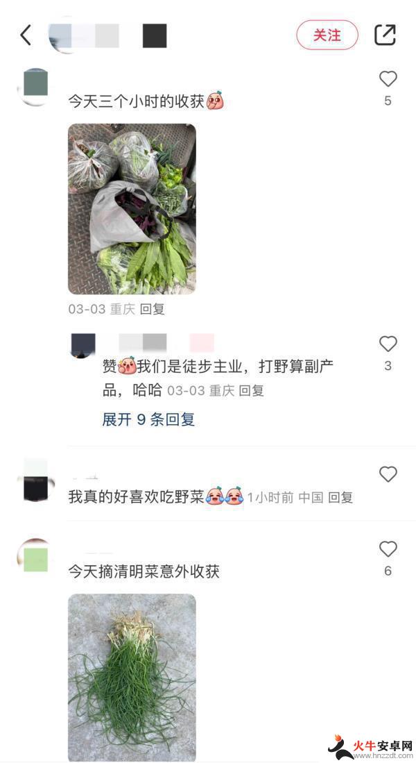 上海人热衷于“打野”游戏？有人花费心血整理攻略，专家提醒存在风险