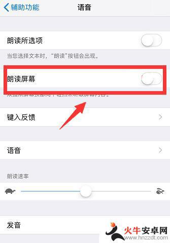 苹果手机怎么设置读字